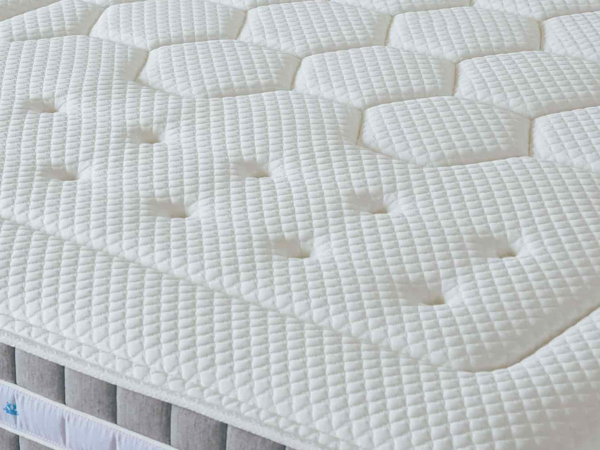 ENSYFRESH / 2025 / 80x200 -4